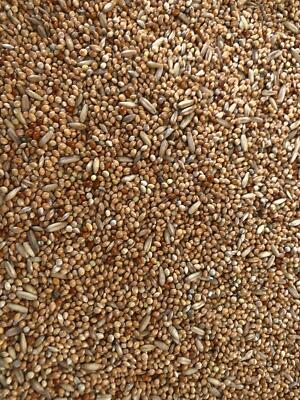 Tessmers Wellensittichfutter 950 g Premium Qualität Wellensittich Australien