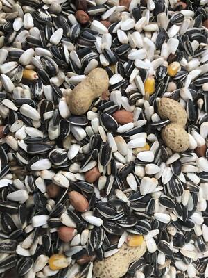 Tessmers Papageienfutter Premium Qualität 950 g Graupapagei Amazone Kakadus Aras