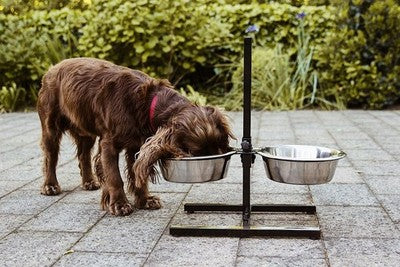Nobby Napfständer höhenverstellbar Diner Bar Hundenapf Futterbar Hundebar