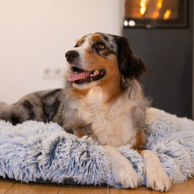 Nobby Hundebett Donut Seda grau Katzenbett Kissen Bett Hund Katze