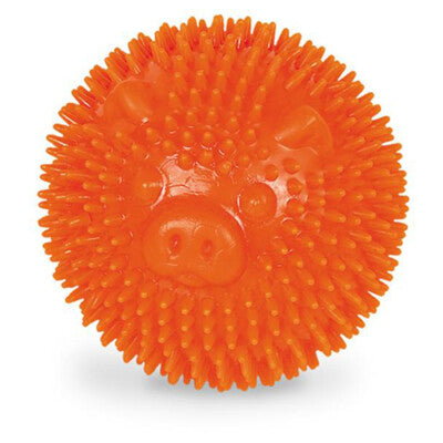 Nobby TPR Noppen Ball Pig Schwein orange quietschend Hundespielzeug Hund Denta