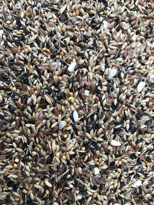 Tessmer Waldvogelfutter ohne Rüpsen 900g Waldvögel Dompfaff Stiegliz Zeisig