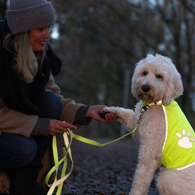 Nobby Sicherheitsweste Hund Warnweste Hundewarnweste Hundesicherheitsweste gelb