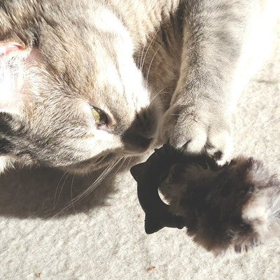 Nobby Katzenspielzeug Spielzeug mit Katzenminze Ring Katze Plüsch Cat