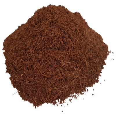 Nobby Kokoseinstreu fein 60L Kokosfaserhumus Terrariensubstrate Spinne Kokosfaser