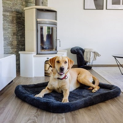 Nobby Hundekissen oval Bian dunkelgrau Anti-Rutsch Hunde Katze Plüsch waschbar