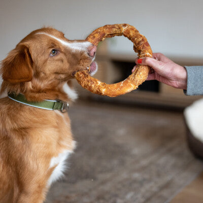 Nobby StarSnack Barbecue Chicken Donut XL 220g Huhn Bagel Leckerli Snack Hund