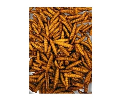 1Liter Soldatenfliegenlarven Hermetia getrocknet Vogelfutter Hühner & Geflügel