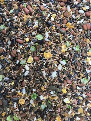 Premium Rennmäusefutter 950 g Eiweißreiche und abwechslungsreiche Mischung Alleinfuttermittel