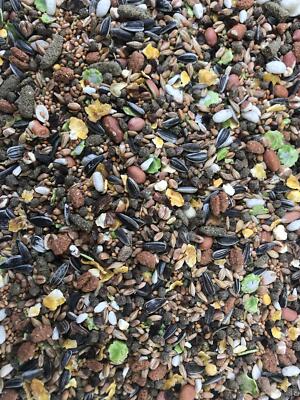 Premium Hamsterfutter 950 g Eiweißreiche und abwechslungsreiche Mischung Alleinfuttermittel