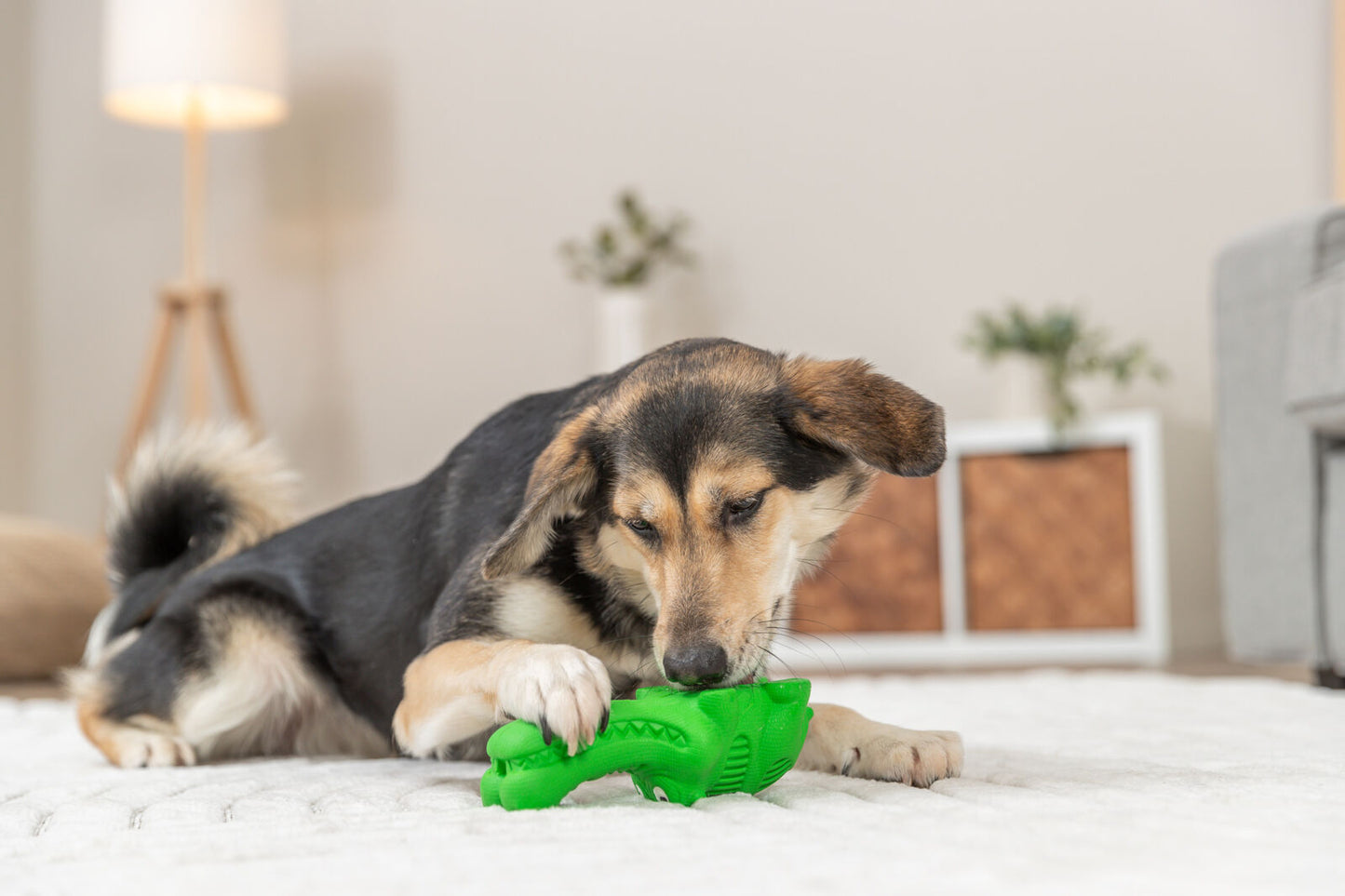 Trixie Hundespielzeug Snack-Krokodil grün 18cm Hunde Leckerlis füllbar Snack