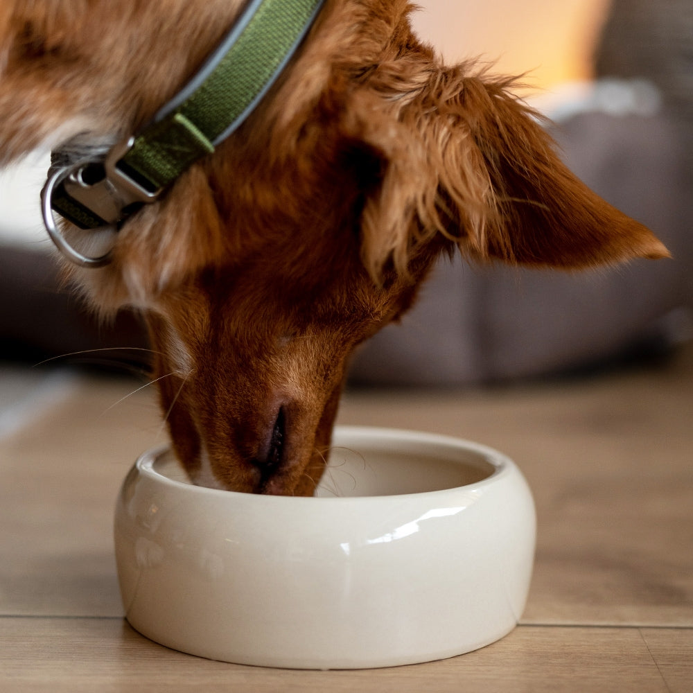Nobby Keramik Futtertrog creme Nagernapf Hund Napf Wasser Futter diverse Größen