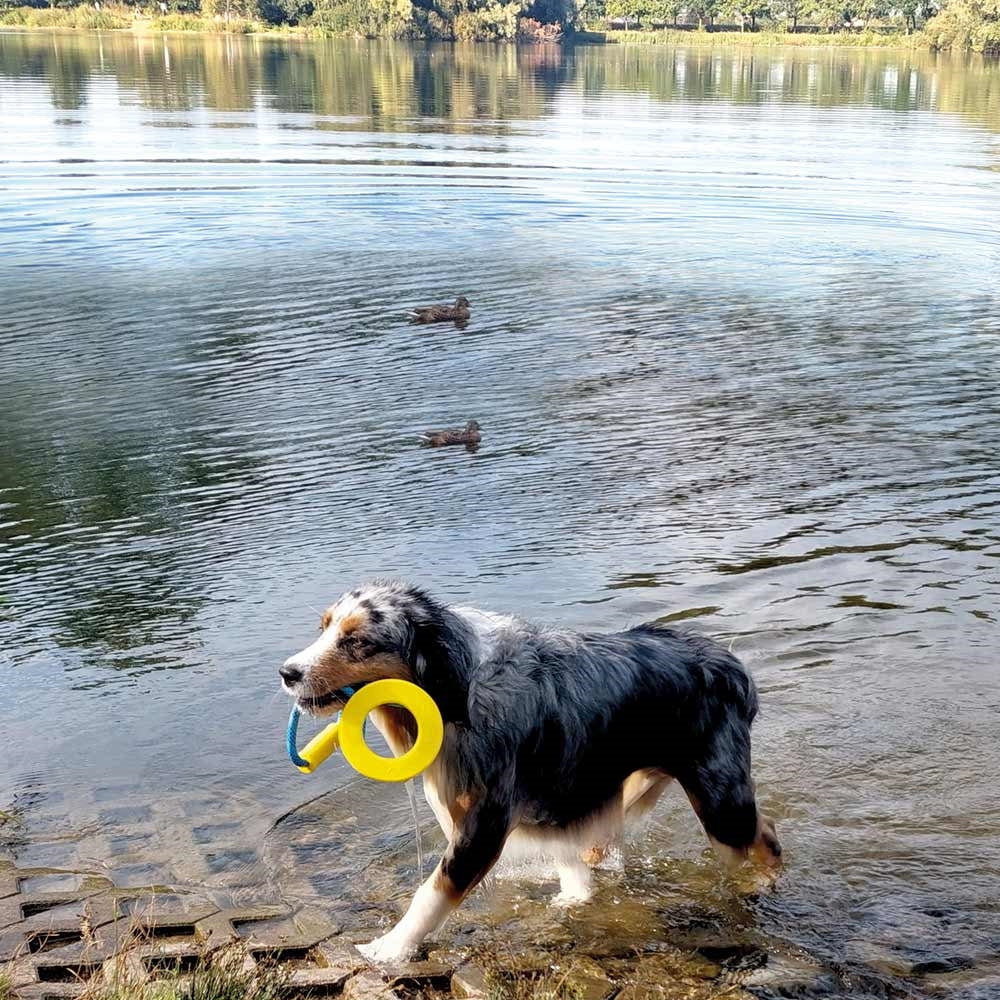 Nobby Hundespielzeug TPR Ring mit Seil und Griff robust schwimmt Hund Spielzeug