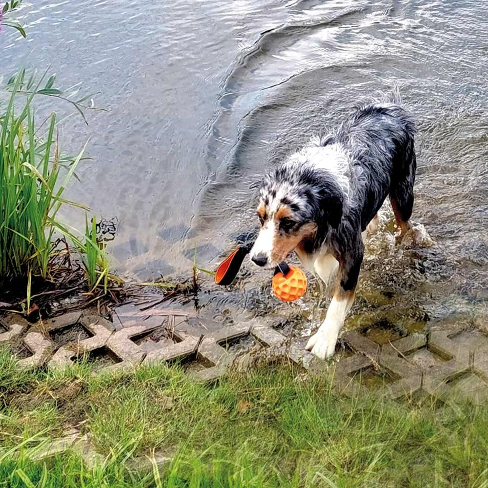 Nobby Hundespielzeug TPR Ball schwimmt Wafer robust elastische Schlaufe Hund