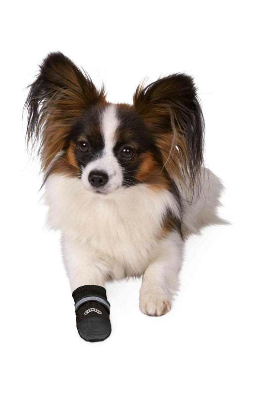 Trixie Hundeschuh Pfotenschutz Walker Care Comfort schwarz 2 St.*