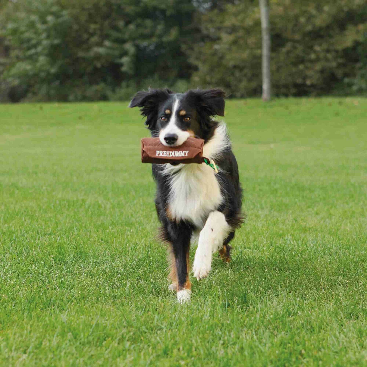 Trixie Preydummy Snackdummy Futterdummy Futterbeutel Hunde Training Apportieren