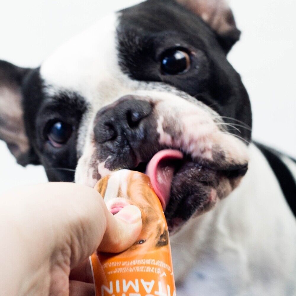Nobby Multi Vitamin Paste Puppy Welpen Hund Nahrungsergänzung Snack Leckerlie
