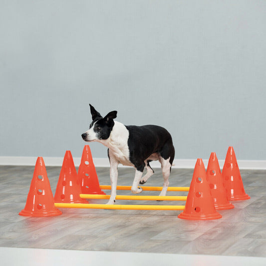 Trixie Dog Activity Pylonen Hindernis Set, Agility, Hundetraining Sport bewegung