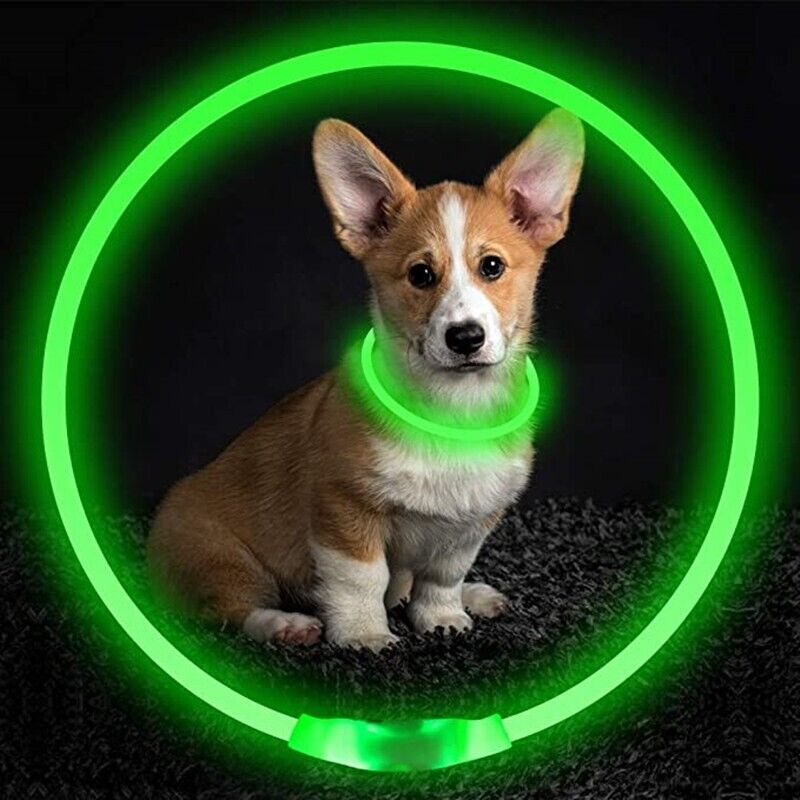 LED Leuchthalsband Leuchtring Leuchtband Light Band USB kürzbar Silikon bis 70cm