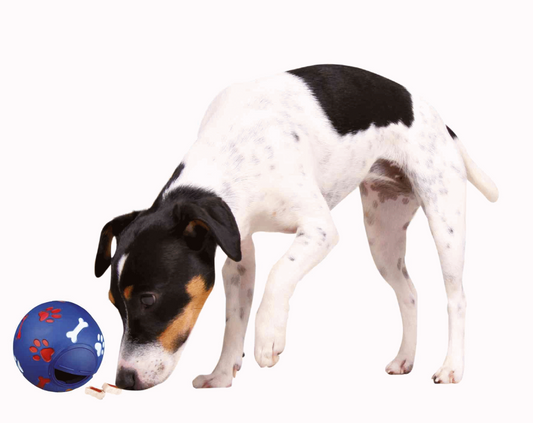 TRIXIE Dog Activity Snackball Snacky Hunde Labyrinth Futterball diverse Größen