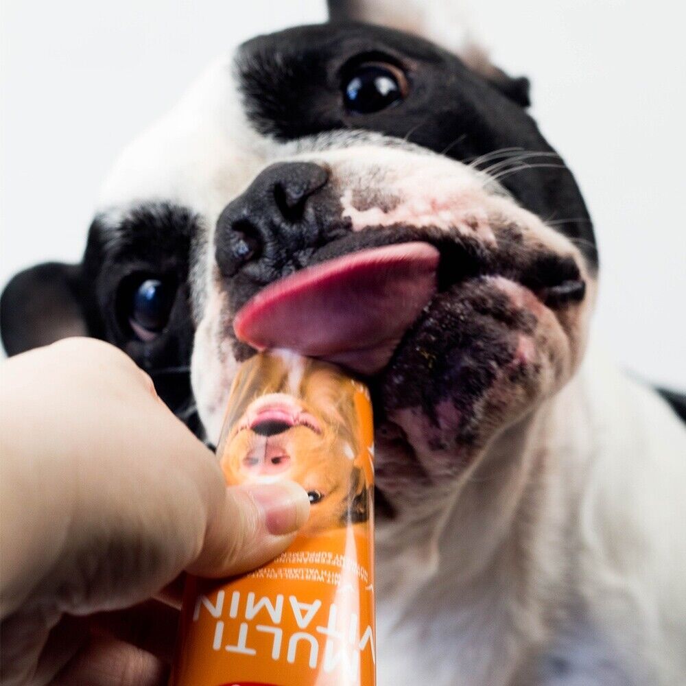 Nobby Multi Vitamin Paste Hund 100g Nahrungsergänzung Senior Snack Leckerlie