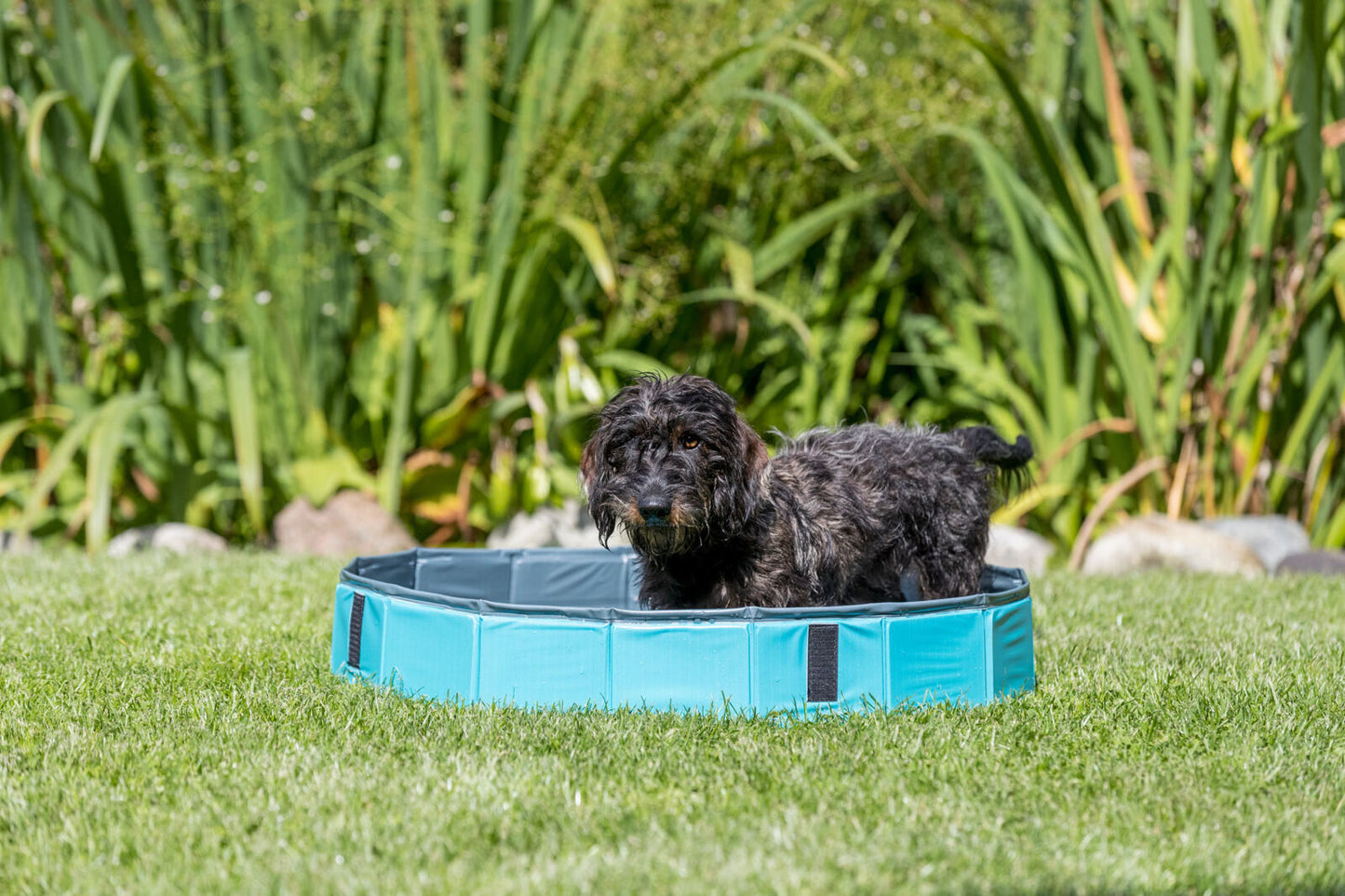 Auswahl Hundepool Swimmingpool Trixie div. grössen oder Abdeckung Poolplane