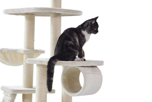 Nobby Kratzbaum Classic "DILAN"cream; 50 x 40 x 137 cm Katze Baum