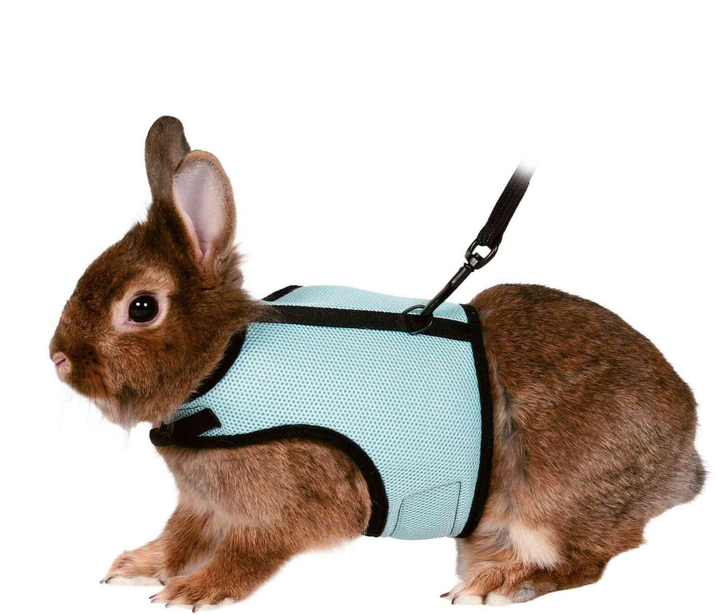 Softgeschirr mit Leine Kaninchen Nagetiere Meerschweinchen Ratte Nager Geschirr