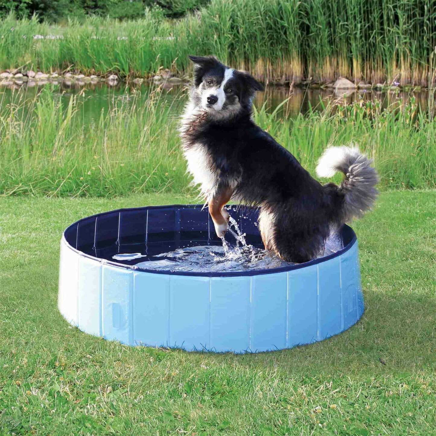 Auswahl Hundepool Swimmingpool Trixie div. grössen oder Abdeckung Poolplane
