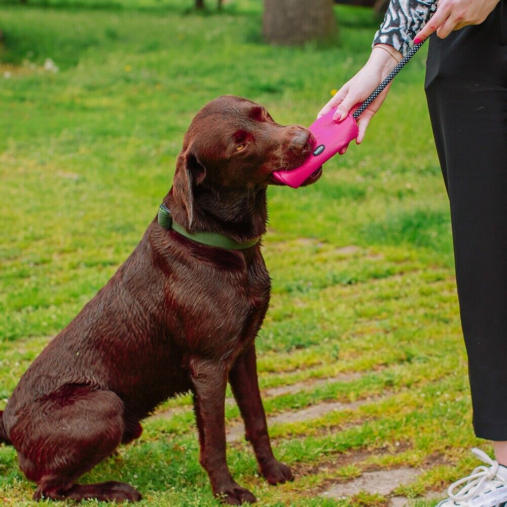 Nobby Snack Dummy "Rio" blau grün pink GRÖßEN Futterdummy Snack Leckerlies Hund