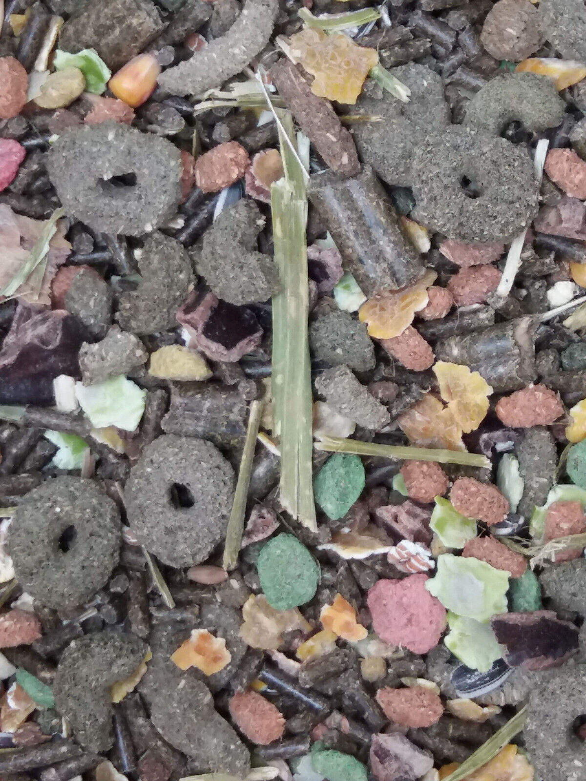 Premium Kaninchenfutter 2 kg Nager Trockenfutter Zergkaninchen faserreich