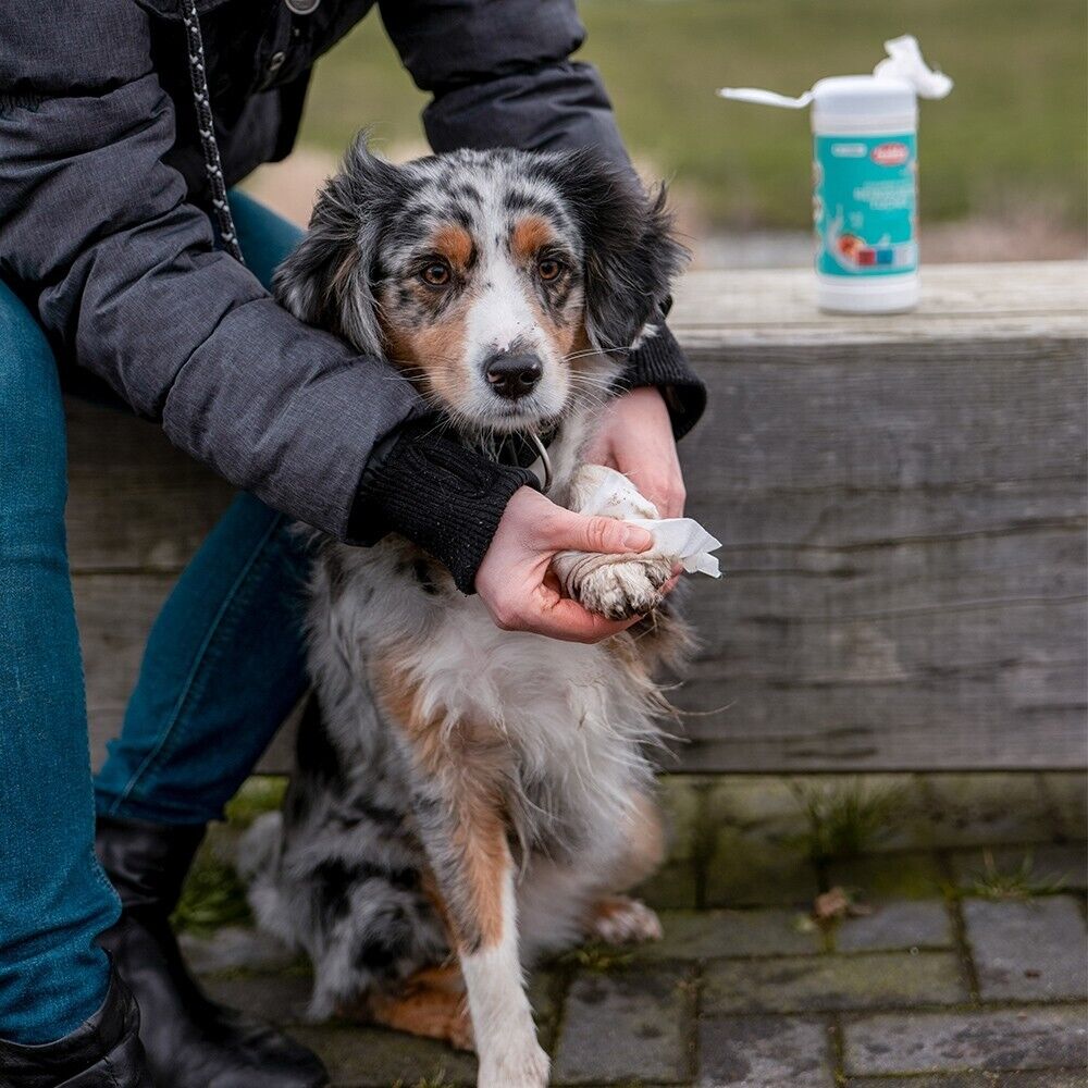 Nobby Reinigungstücher 50 St. Pfoten Augen Ohren auch unterwegs Hund Katze Nager