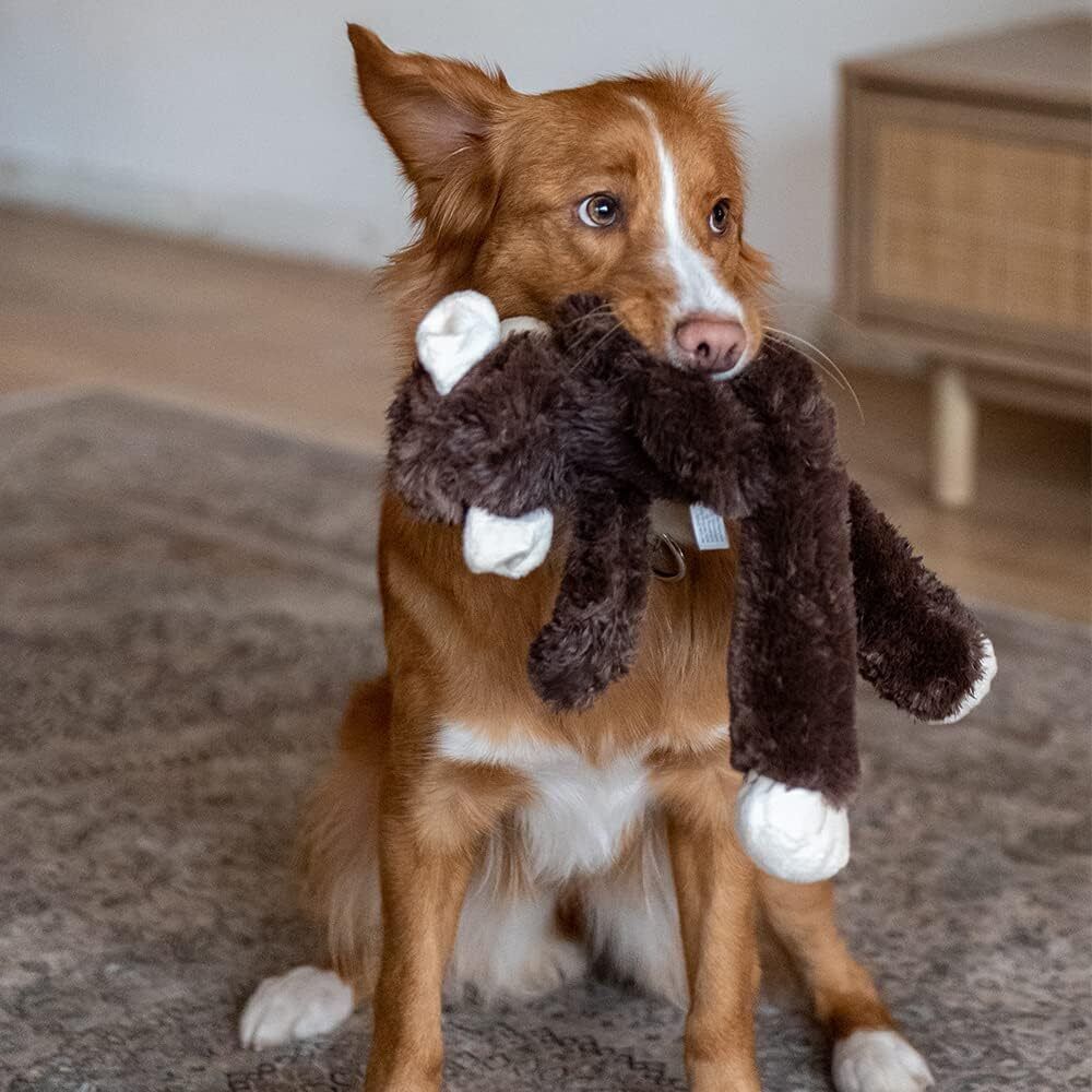 Nobby Plüsch Affe Hundespielzeug 43cm mit Squeaker strapazierfähig