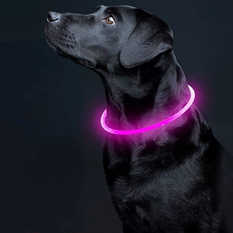 LED Leuchthalsband Leuchtring Leuchtband Light Band USB kürzbar Silikon bis 70cm