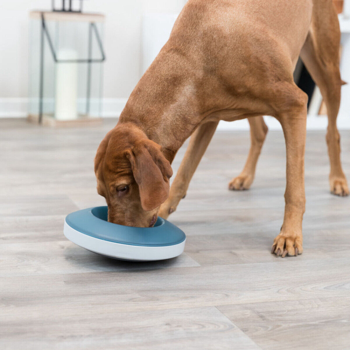 Trixie Slow Feeding Napf Rocking Bowl grau/blau Anti Schling Napf 500 ml 23 cm