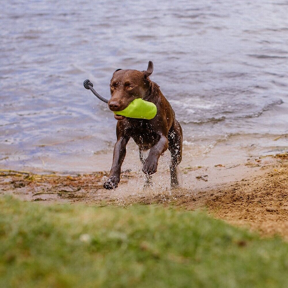 Nobby Snack Dummy "Rio" blau grün pink GRÖßEN Futterdummy Snack Leckerlies Hund