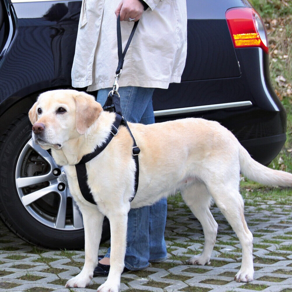 Trixie universeller Hunde Ersatzkurzführer, diverse Größen, NEU