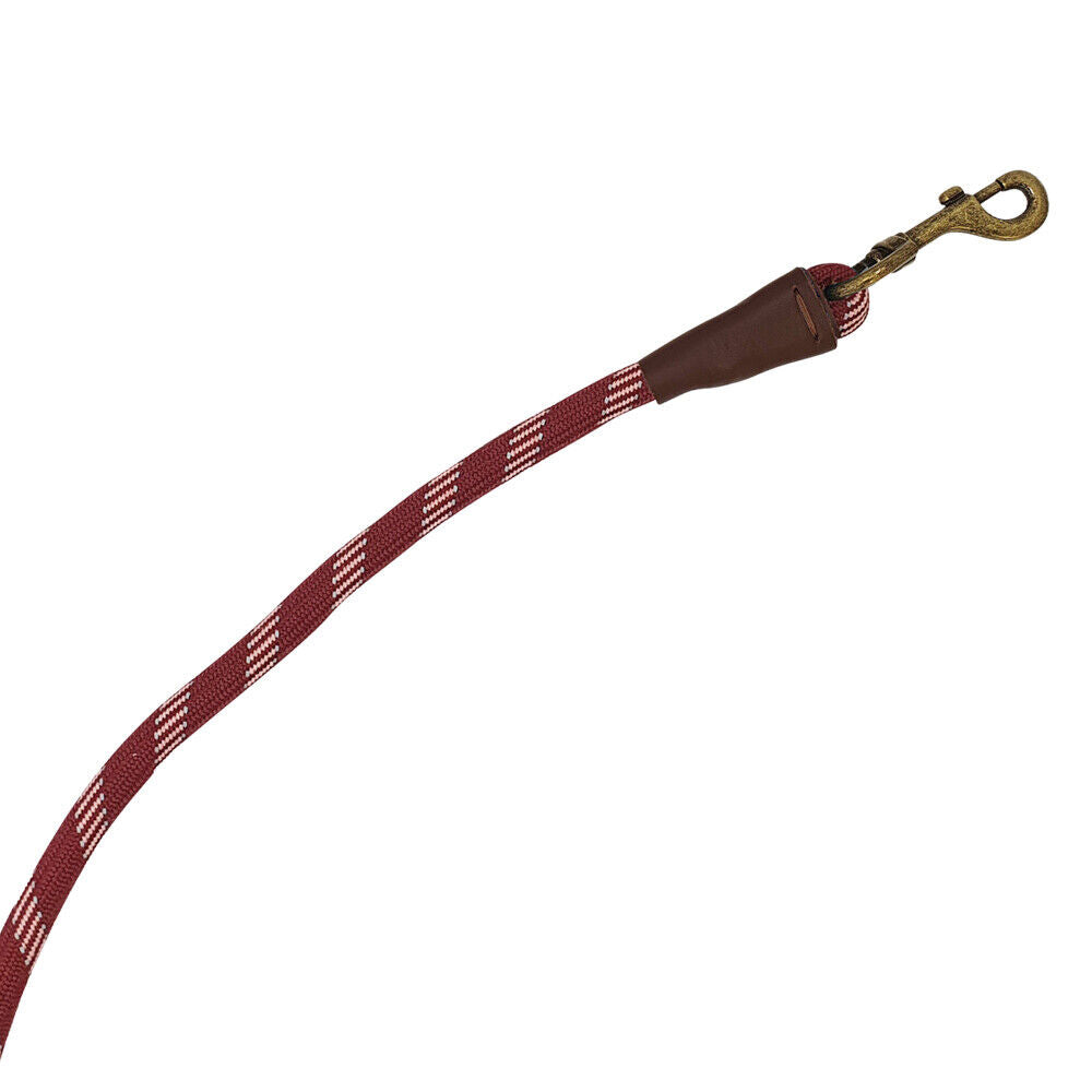 Nobby Führleine SPORTY rot L: 200 cm, B: 13 mm Hund Dog Leine