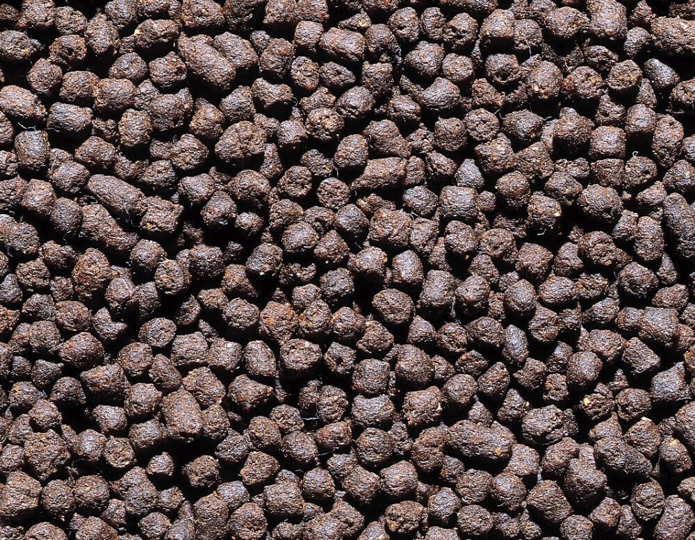 Nobby Fische Störfutter Beutel 3000 ml Kaltwasserfische Futterpellet Teichfisch