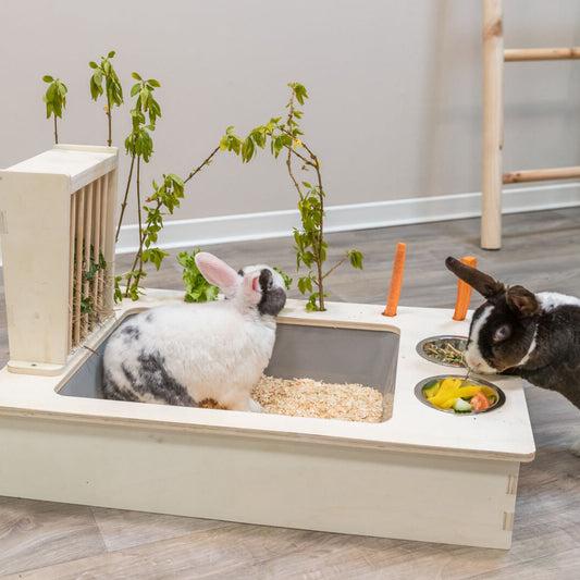 Trixie Futterstation Holz Napf Futter Raufe für Nager Meerschweinchen Kaninchen