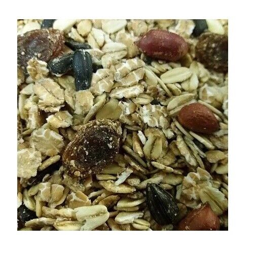 4 kg Vogelfutter Winterfutter Wildvogelfutter Sonnenblumenkerne Futter