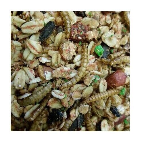 4 kg Vogelfutter Winterfutter Wildvogelfutter Sonnenblumenkerne Futter