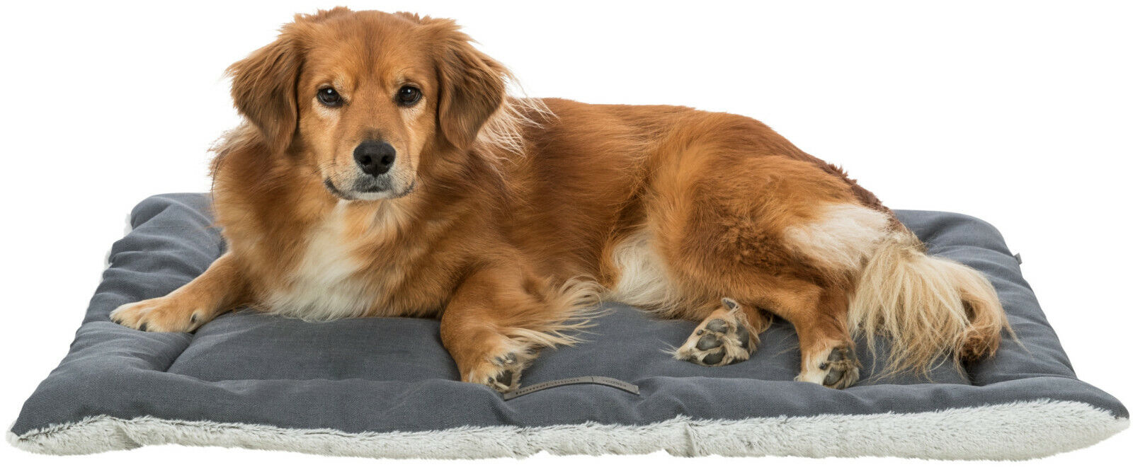 TRIXIE Farello 90x65 Kissen Liegematte Liegeplatz Schlafplatz Katze Hund
