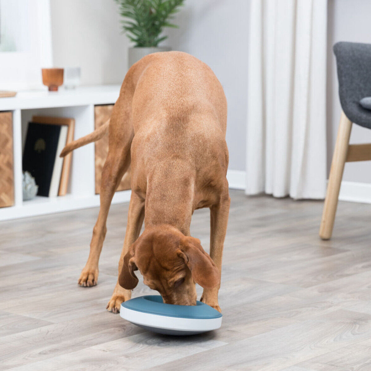 Trixie Slow Feeding Napf Rocking Bowl grau/blau Anti Schling Napf 500 ml 23 cm
