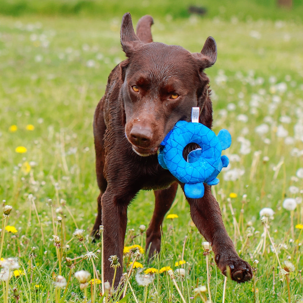 Nobby Hundespielzeug Floating schwimmt quietscht Wasserspielzeug Spielzeug Hund
