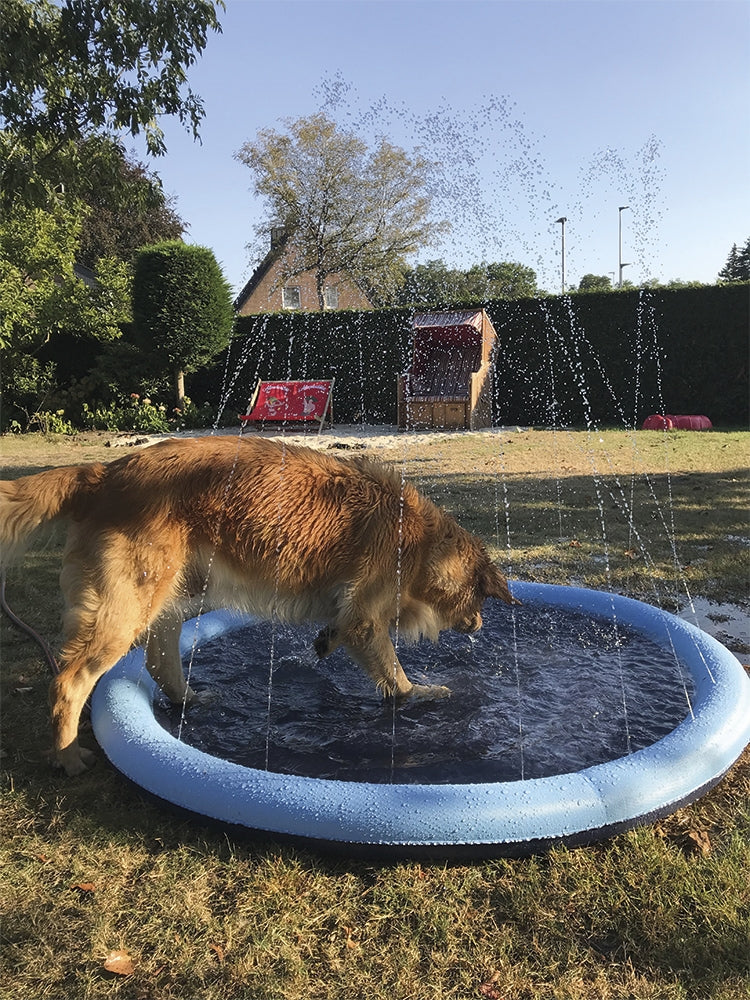 Nobby Splash Pool für Hunde Hundepool Planschbecken Swimmingpool