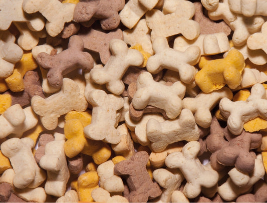 Nobby Starsnack Cookies Puppy 500g Cookie Bones Leckerli Kekse Snack Hund