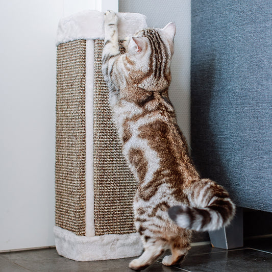 Nobby Kratzecke grau beige Plüsch Sisal Katze Kratzmatte Kratzbrett Kratzen