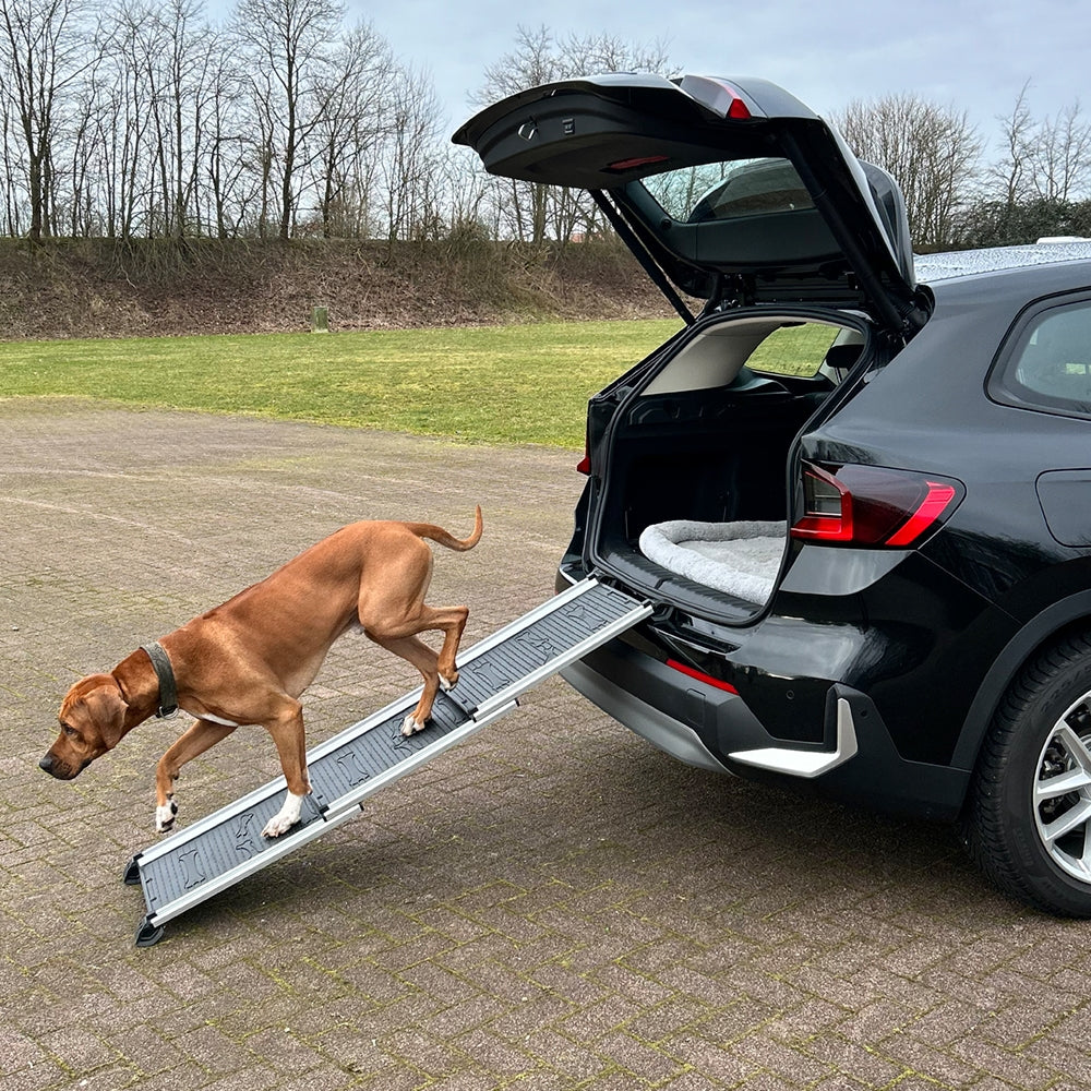 Nobby Aluminium Teleskop Rampe für Hunde bis 90 kg Hunderampe Hundetreppe