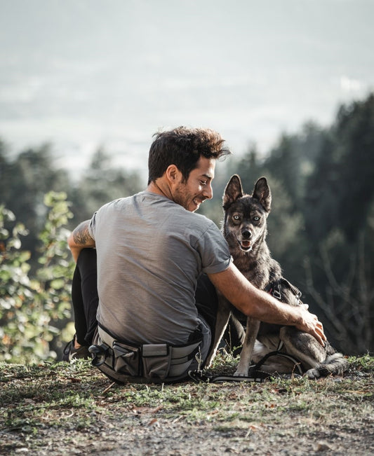 Nobby Hüftgurt Expert Bauchgurt Taschen Hundeleine bis 30kg Hund Agility Gassi